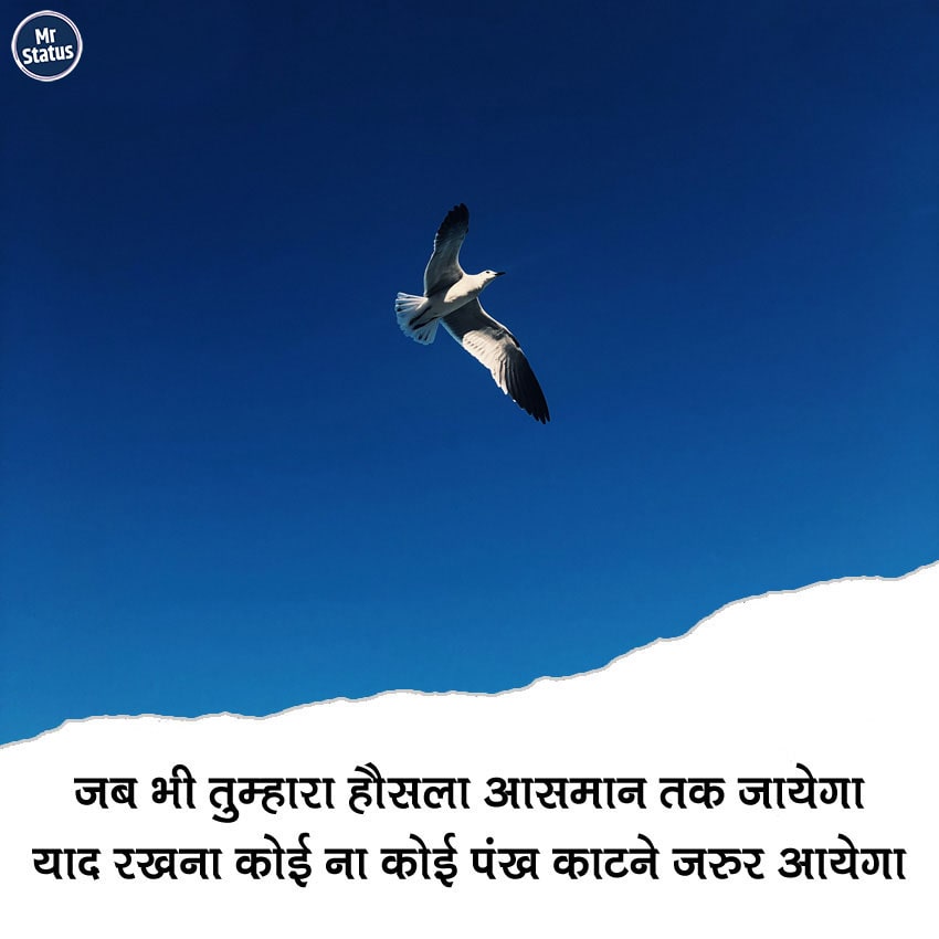 Download free status image